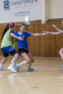 Bild 258 - wBJ TSV Ellerau - HSG Stoertal Hummeln : Ergebnis: 26:19